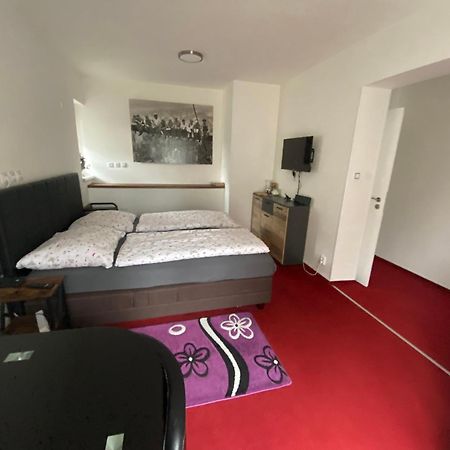 Homestay U Hanky Zdiby Exteriér fotografie
