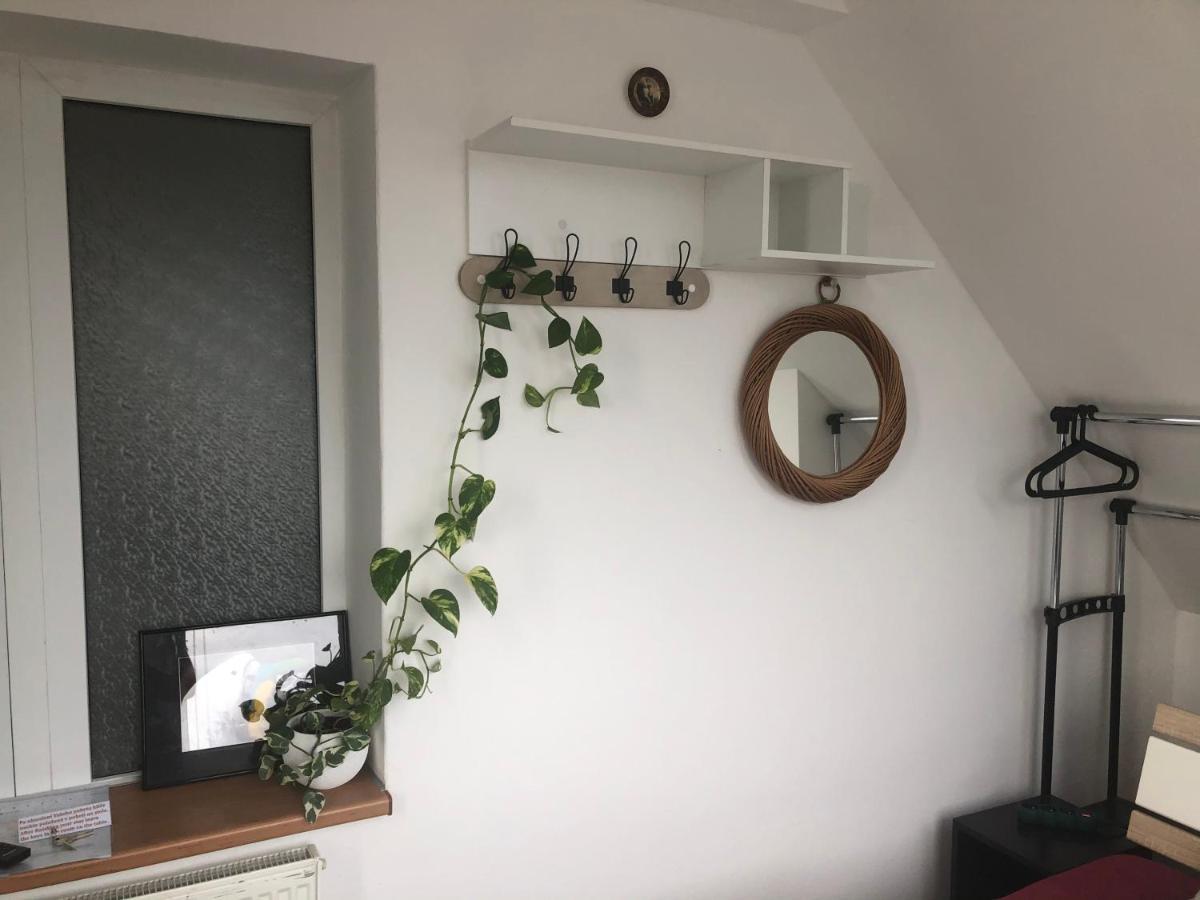 Homestay U Hanky Zdiby Exteriér fotografie